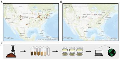 Combating Antimicrobial Resistance Through Student-Driven Research and Environmental Surveillance